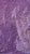 Mostacilla violeta opaco
