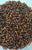 Mostacillon marrón brillante