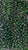 Mostacilla verde oscuro